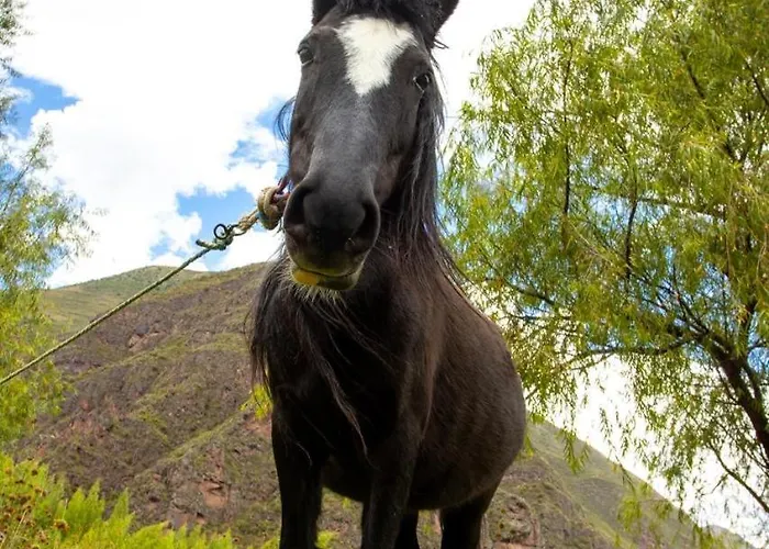 Awki Wasi - Sacred Valley Lamay